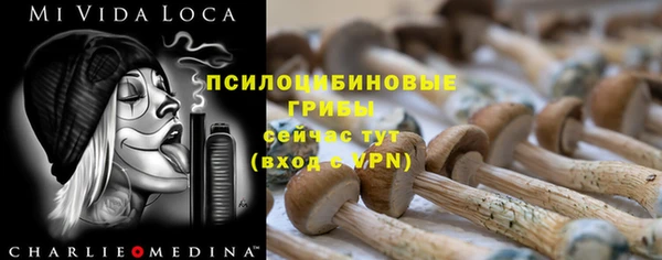 соль ск Рославль