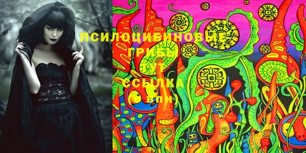 альфа пвп Армянск