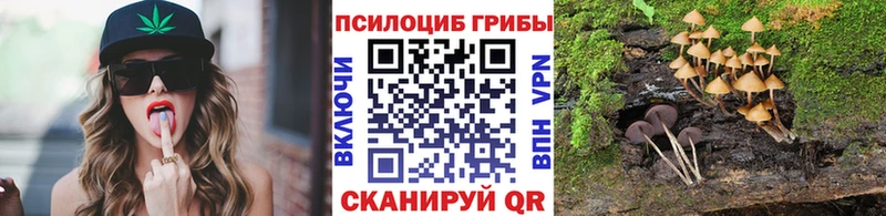 дарнет шоп  площадка состав  Галлюциногенные грибы ЛСД  Липки 